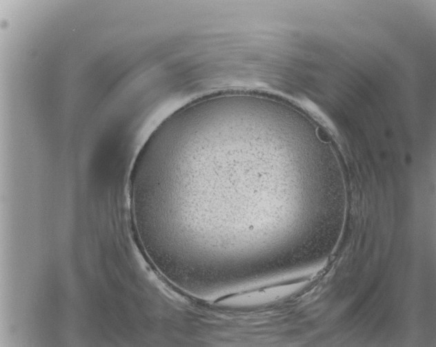 X0000064751287200602171723