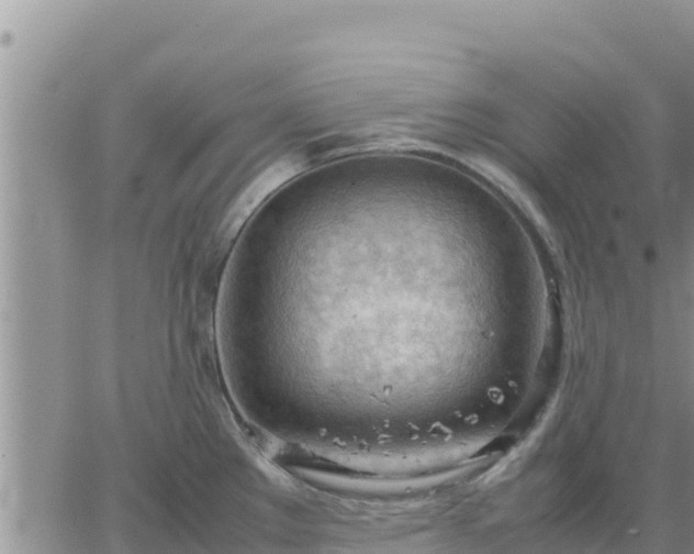 X0000064751289200602171723