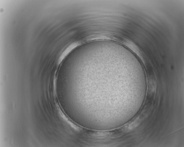 X0000064751290200602171723