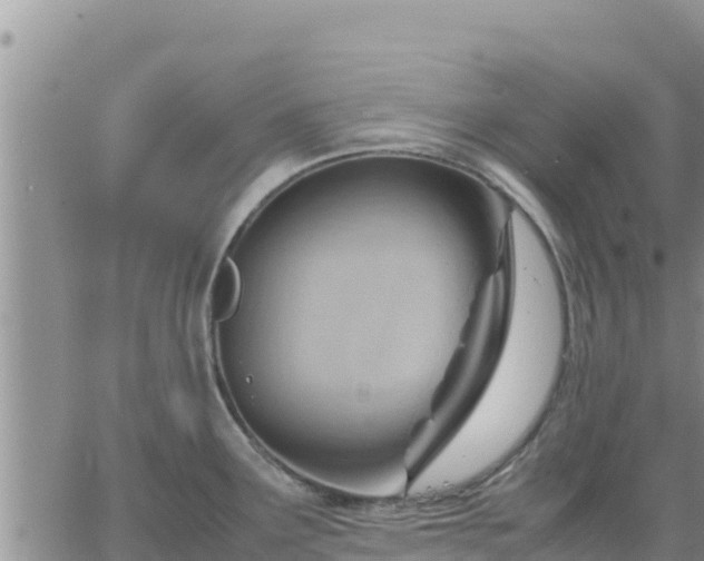 X0000064751291200602171723