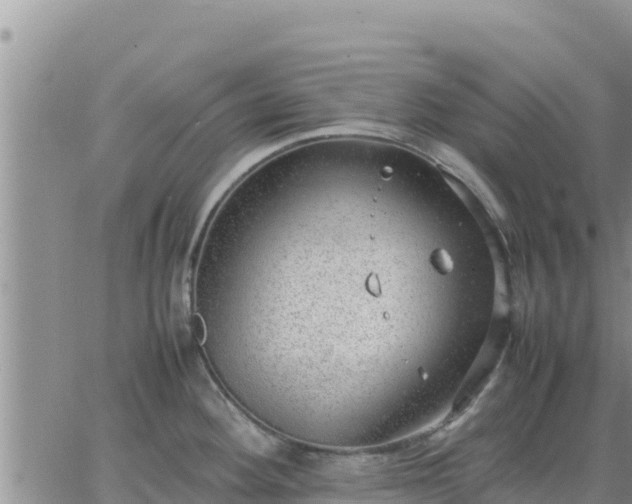 X0000064751292200602171723