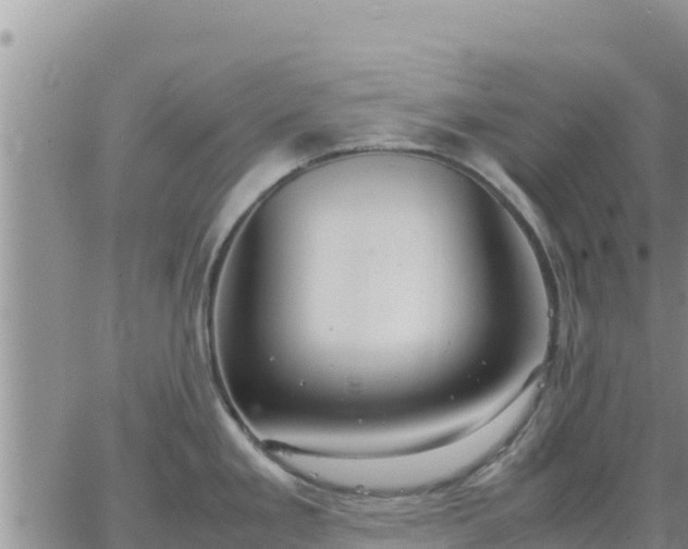 X0000064751293200602171723