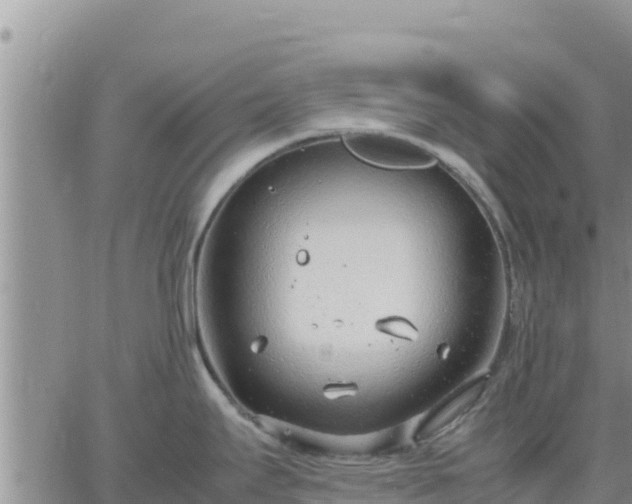 X0000064751295200602171723