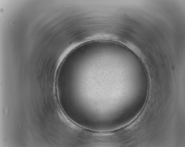 X0000064751296200602171723