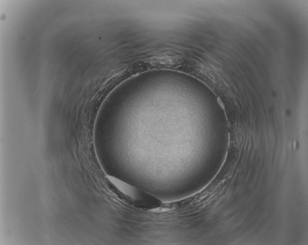 X0000064751297200602171722