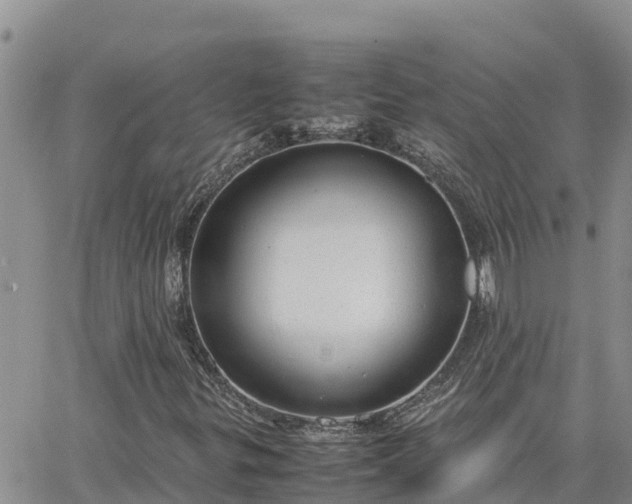 X0000064751299200602171722