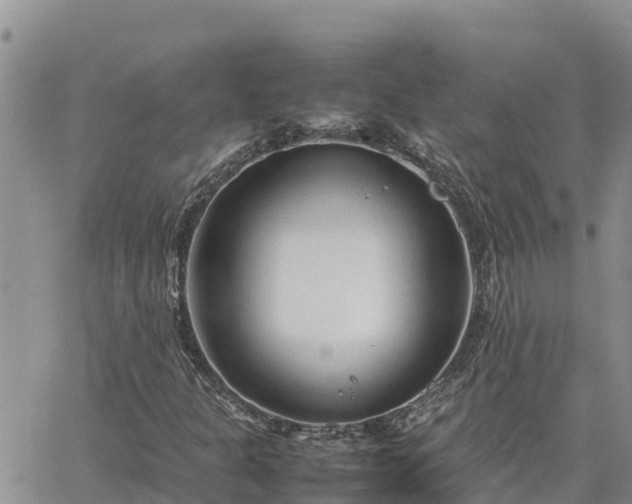 X0000064751301200602171722