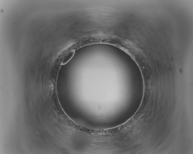 X0000064751302200602171722