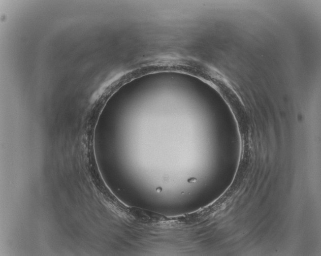 X0000064751304200602171723