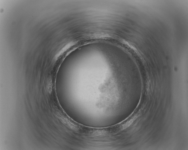 X0000064751306200602171723