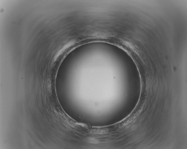 X0000064751307200602171723