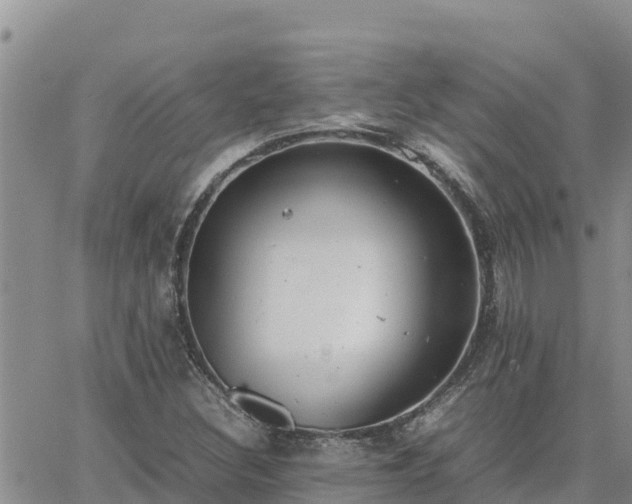 X0000064751308200602171723