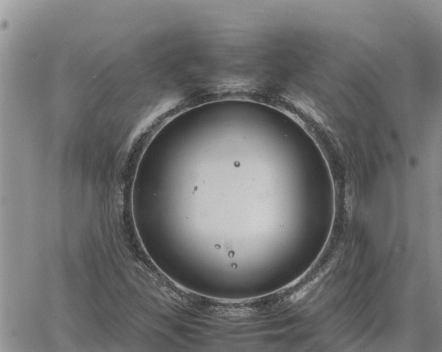 X0000064751309200602171723