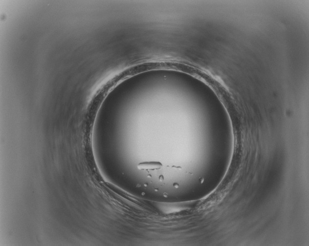 X0000064751311200602171723