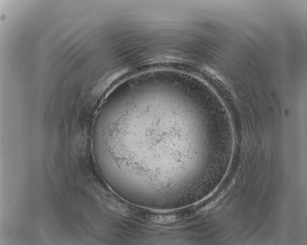 X0000064751313200602171723