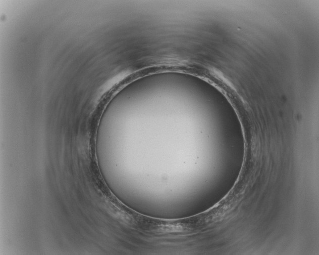 X0000064751315200602171723