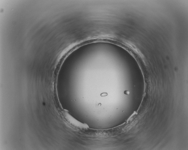 X0000064751316200602171723