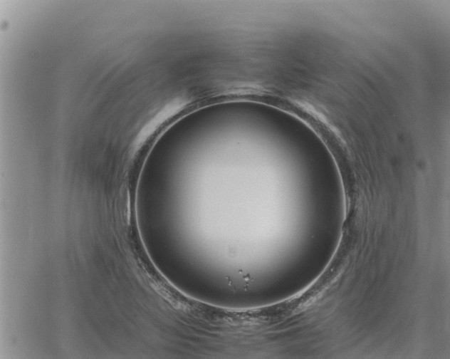 X0000064751317200602171723