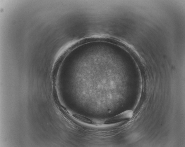 X0000064751319200602171723