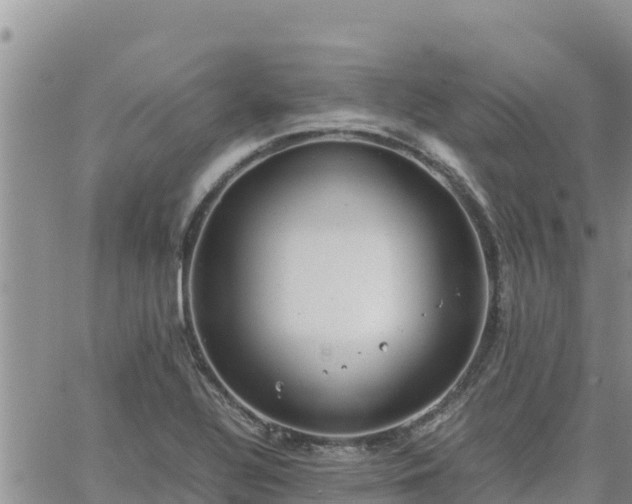 X0000064751320200602171723