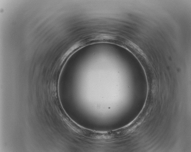 X0000064751321200602171723