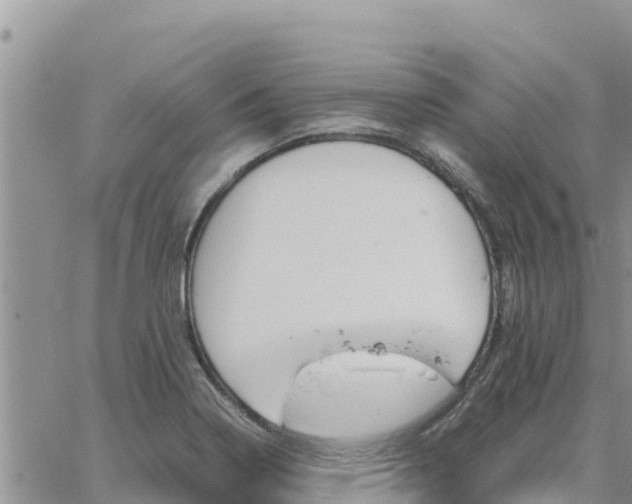 X0000064751322200602171723