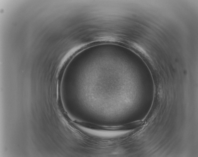 X0000064751323200602171723