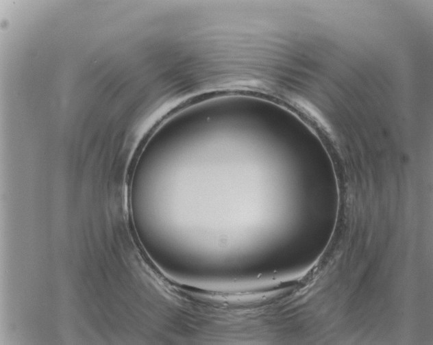 X0000064751324200602171723