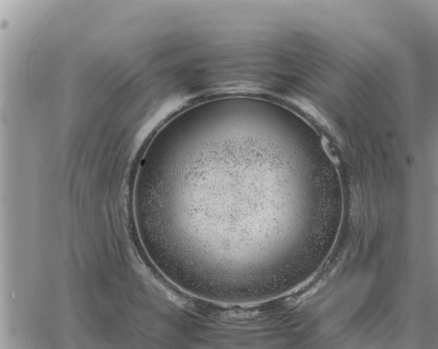 X0000064751325200602171723