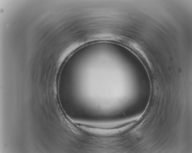 X0000064751328200602171723