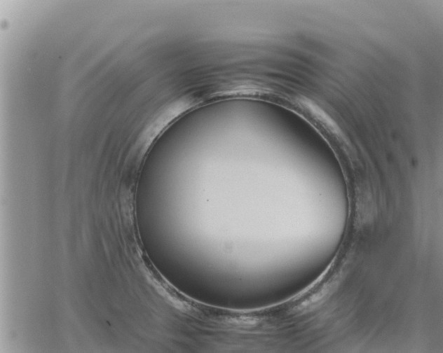 X0000064751329200602171723