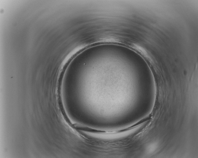 X0000064751331200602171723