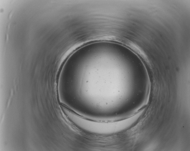 X0000064751332200602171723