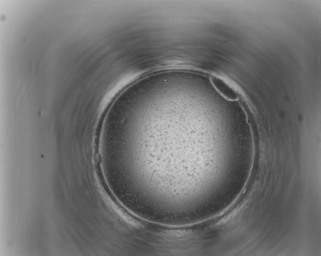 X0000064751333200602171723