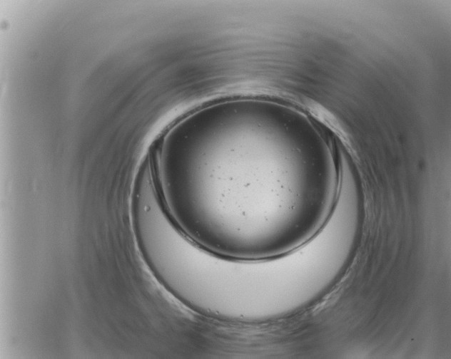 X0000064751334200602171723