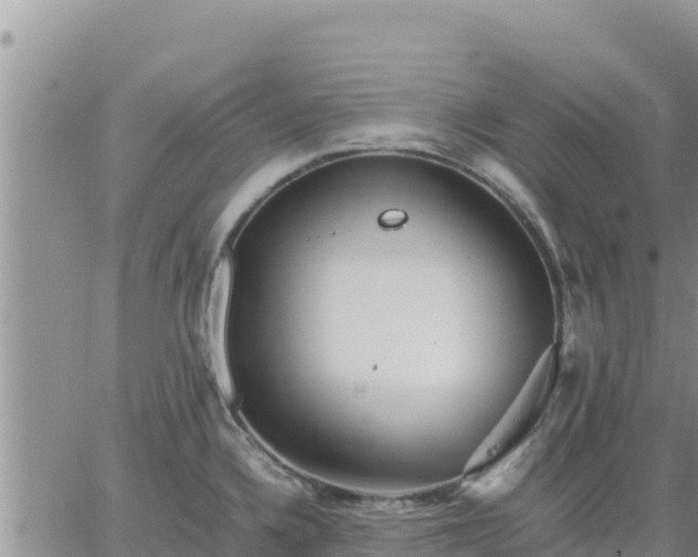 X0000064751336200602171723