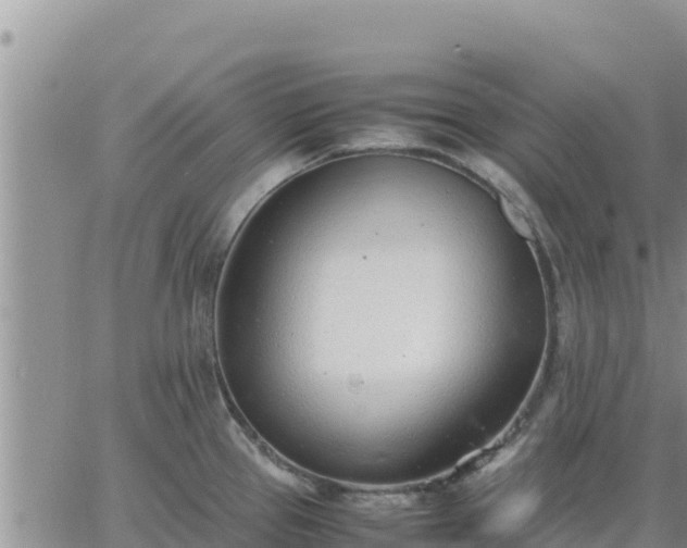 X0000064751337200602171723