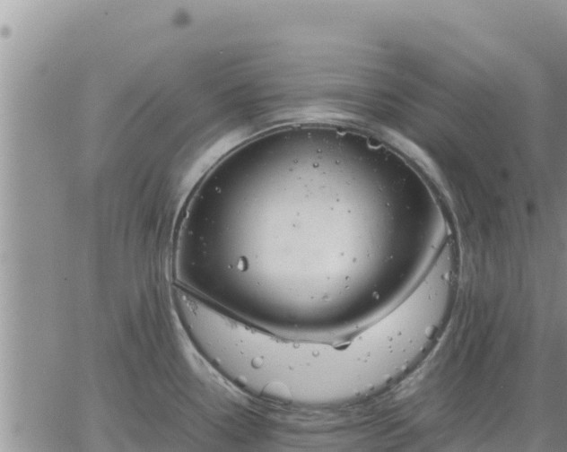 X0000064751338200602171723