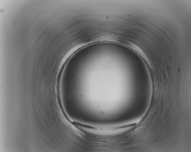 X0000064751339200602171723