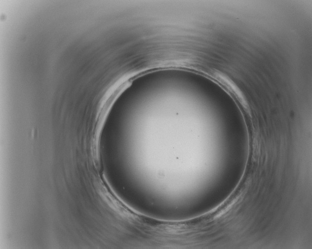 X0000064751340200602171723