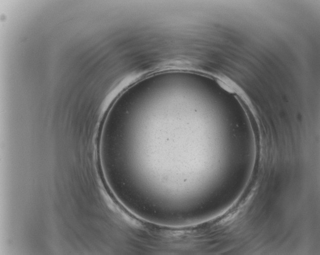 X0000064751341200602171723