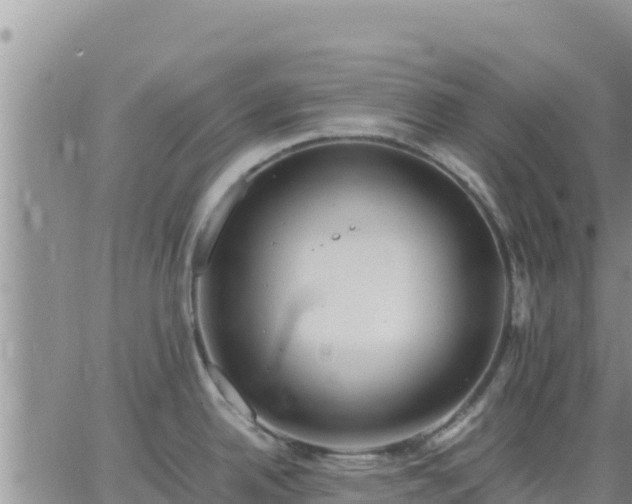 X0000064751342200602171723