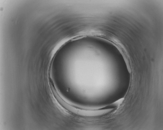 X0000064751344200602171723