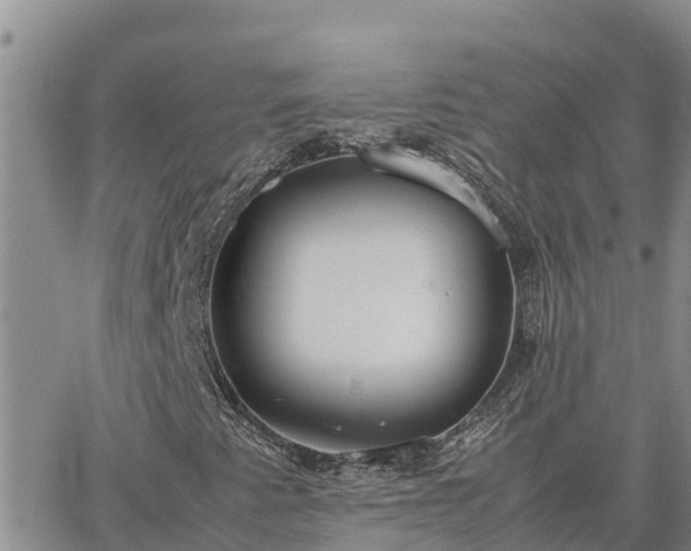 X0000064751345200602171722