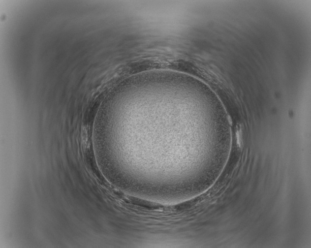 X0000064751347200602171722