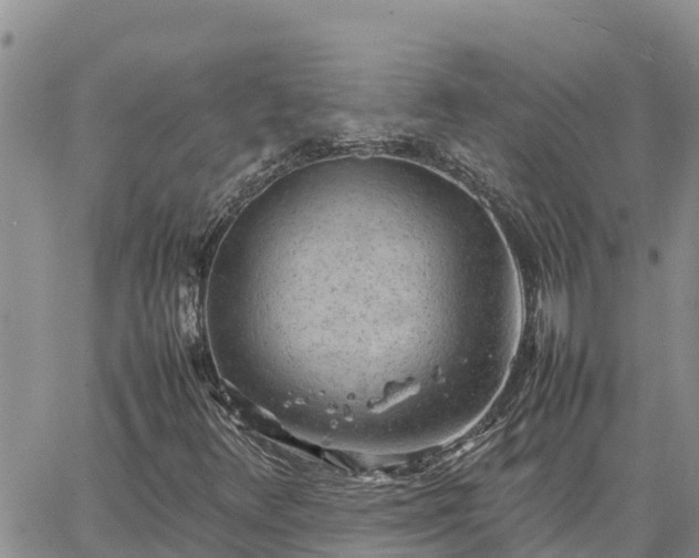 X0000064751348200602171722