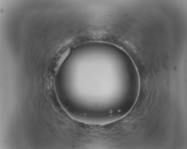 X0000064751349200602171722