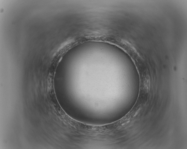 X0000064751350200602171722