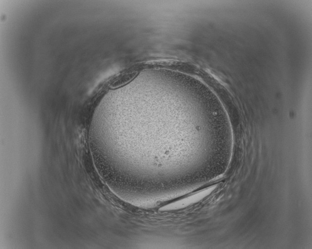 X0000064751351200602171722