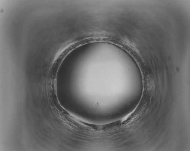 X0000064751352200602171722